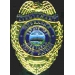 NEBRASKA STATE PATROL PIN MINI BADGE LIEUTENANT PIN